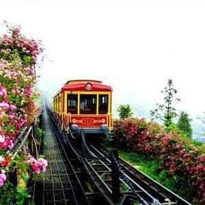 [Combo 3 chặng]: Vé Cáp treo + tàu hỏa Mường Hoa + Chiều lên tàu leo đỉnh {Chủ Nhật – Thứ 6}