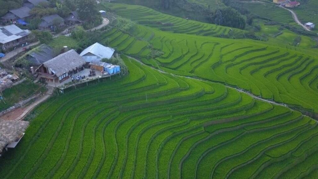 Bản Tả Phìn Sapa