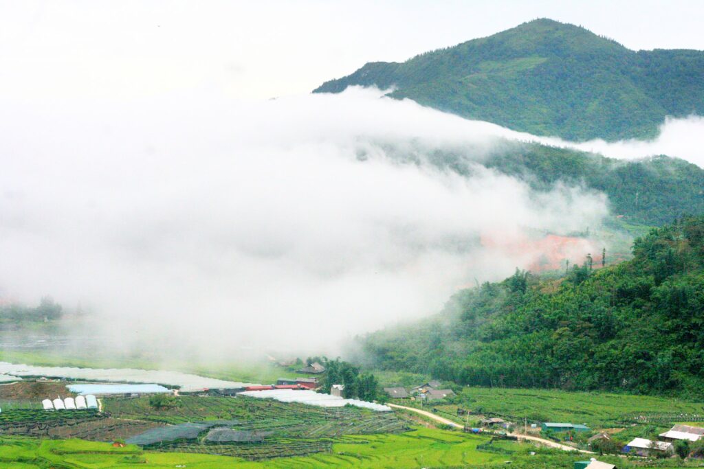 Săn mây bản Tả Phìn Sapa