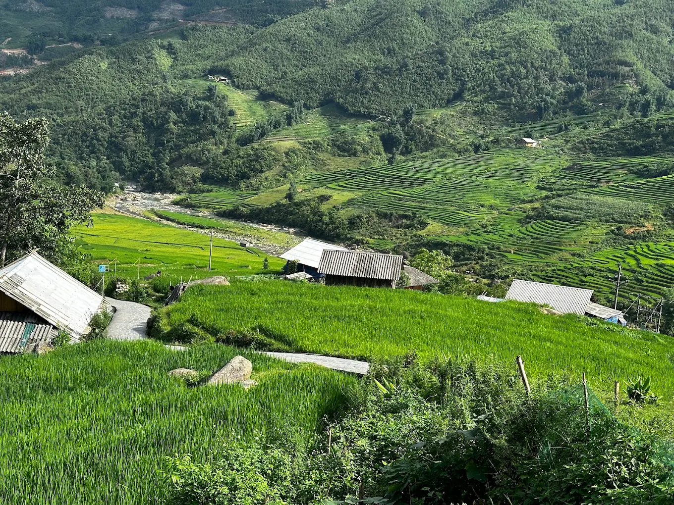 Bãi đá cổ Sapa